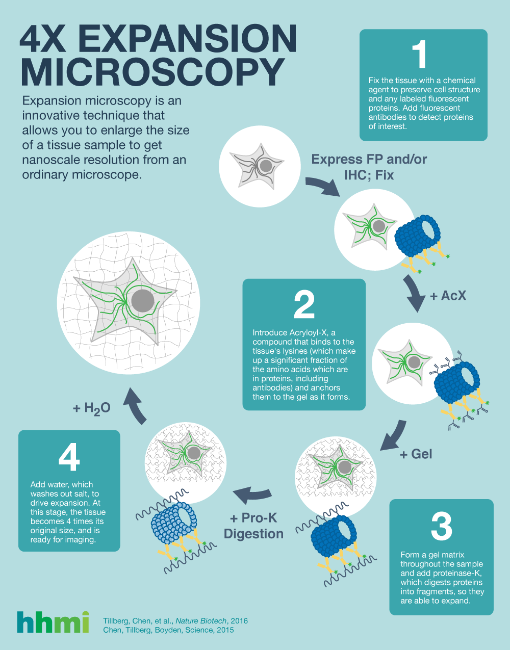 Microscopy Research and Technique, Microscopy Journal