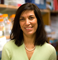 zoghbi_huda_6_1.png