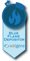 Blue Flame Award - Rubin Lab
