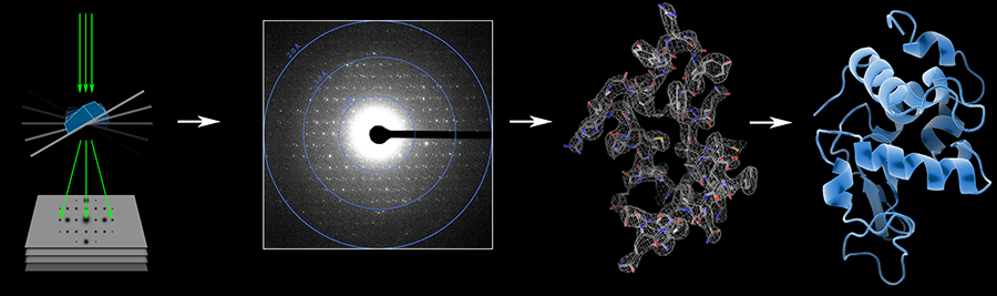 Figure 9_1.jpg