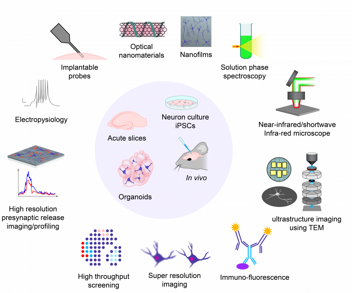 Figure 2_new.png