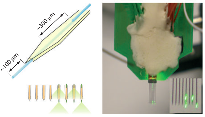 Multi-shank Si probe with top and bottom optical fibers