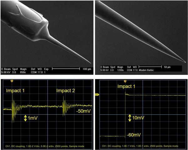 flexible patch pipettes