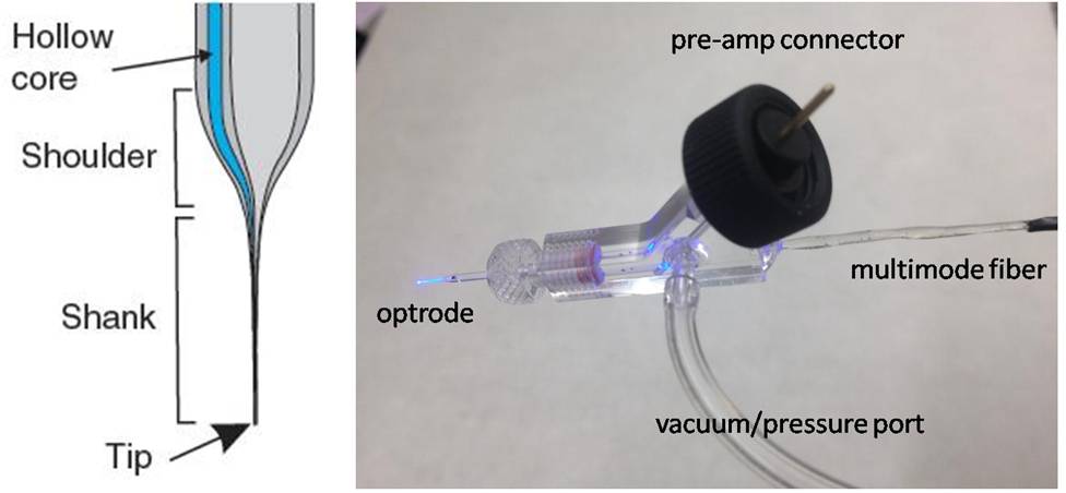 optrode tip diagram and electrode holder