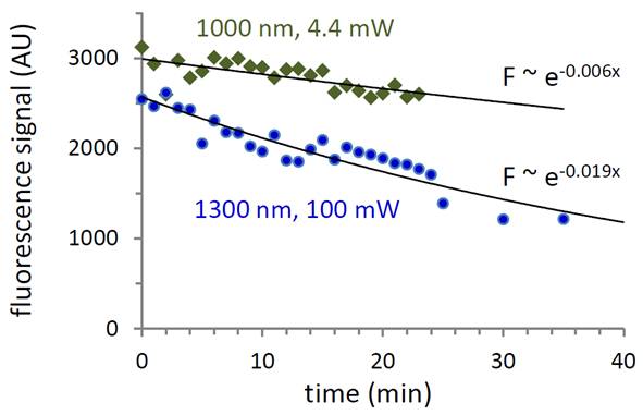 photobleaching GCaMP6f 1300 nm 3-photon 1000 nm 2-photon