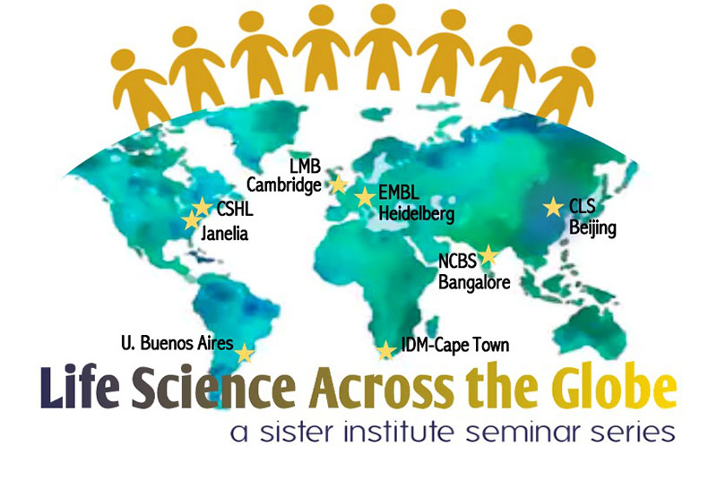 2020ScienceGlobe_800x540.jpg