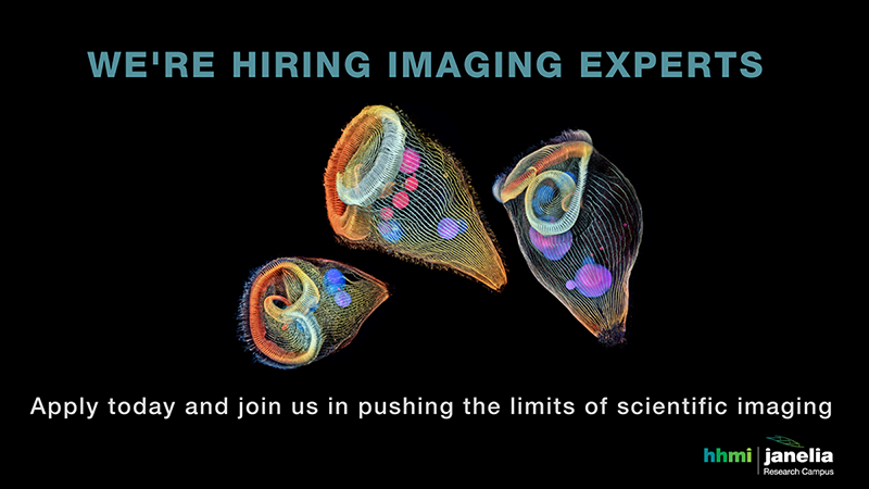 20230328_imagingcareerv3.png
