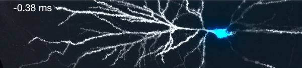 20230607_SNAPT.gif
