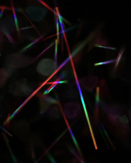 20230705_TickerTape.jpg