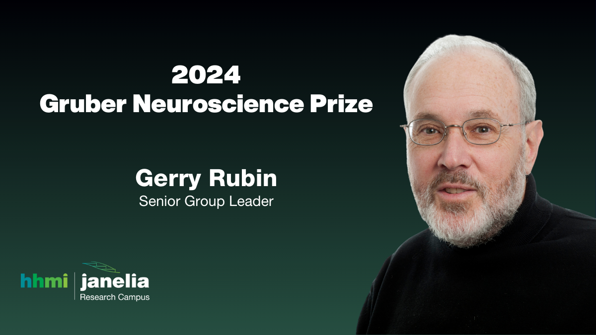 Gerry Rubin receives the 2024 Gruber Neuroscience Prize Janelia