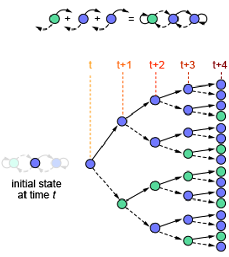 20240624_Fig1F.png