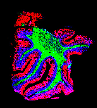 20250421_3colorCer.jpg