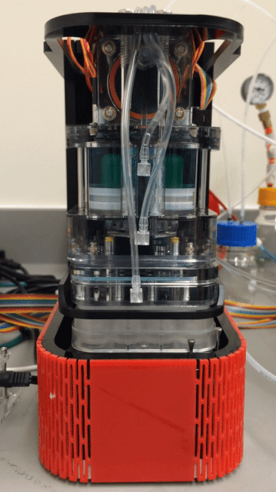hybridizer_shakev2_20200826_390x693.gif