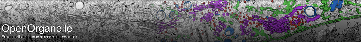 OpenOrganelle_Banner_1200.jpg