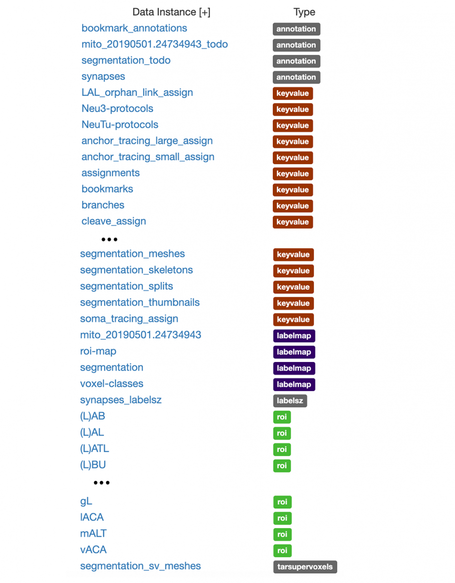 data-instances.png