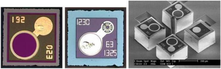 autonomous chip electrode