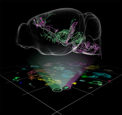gene-expression-patterns.png
