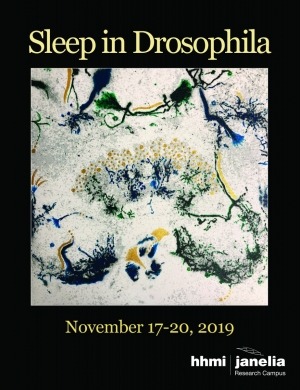 cover front SLP19.jpg