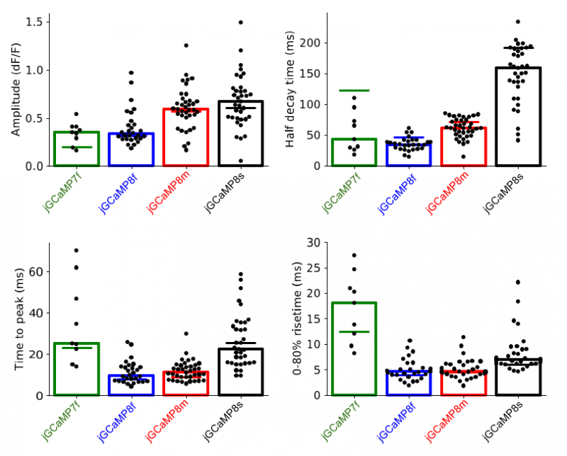 invivo_1AP_characteristics_0.PNG