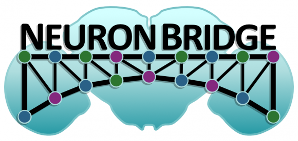 NeuronBridge logo