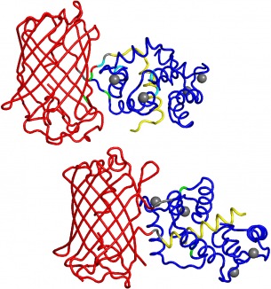 Red calcium indicator structures