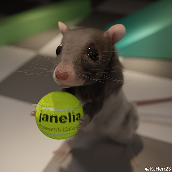 Mouse with Tennis Ball Lab homepage image