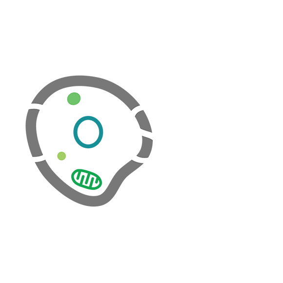 COSEM logo