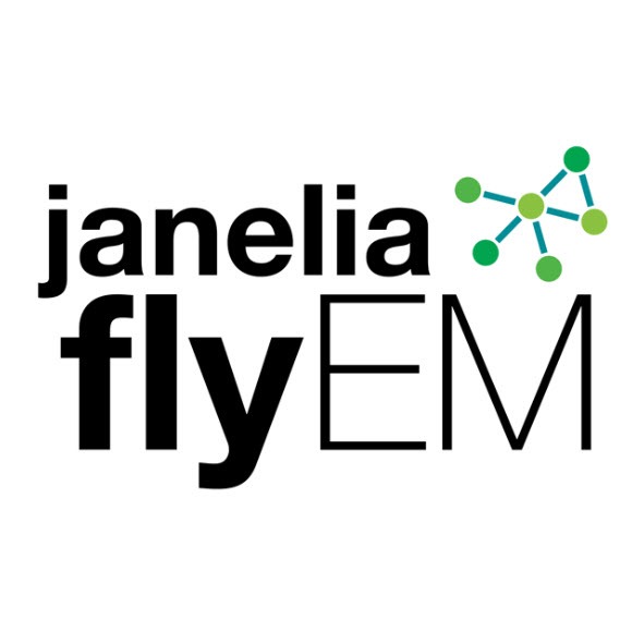FlyEM Logo